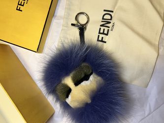 Fendi bag bug 