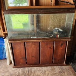 55 Gallon Fish Tank