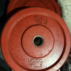 45 lbs Bumper Plates 2 Sets Of 2