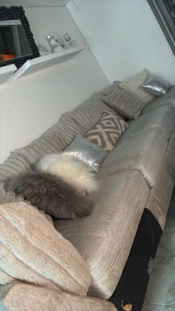 Gray Couch