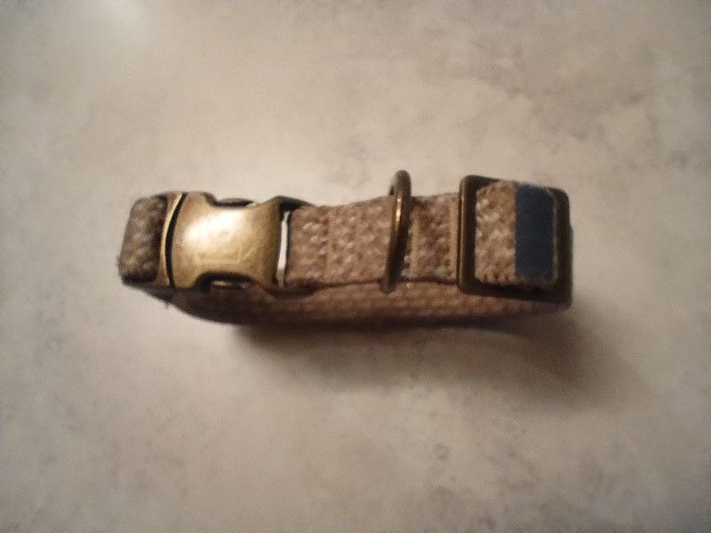 Small Dog Collar