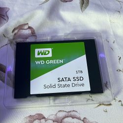We Green 1tb Ssd