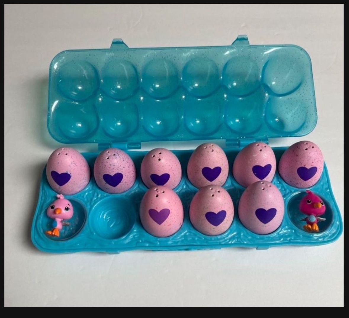 Hatchimal Egg Carton 9 Eggs + 2 Birds