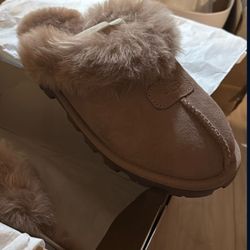 Uggs