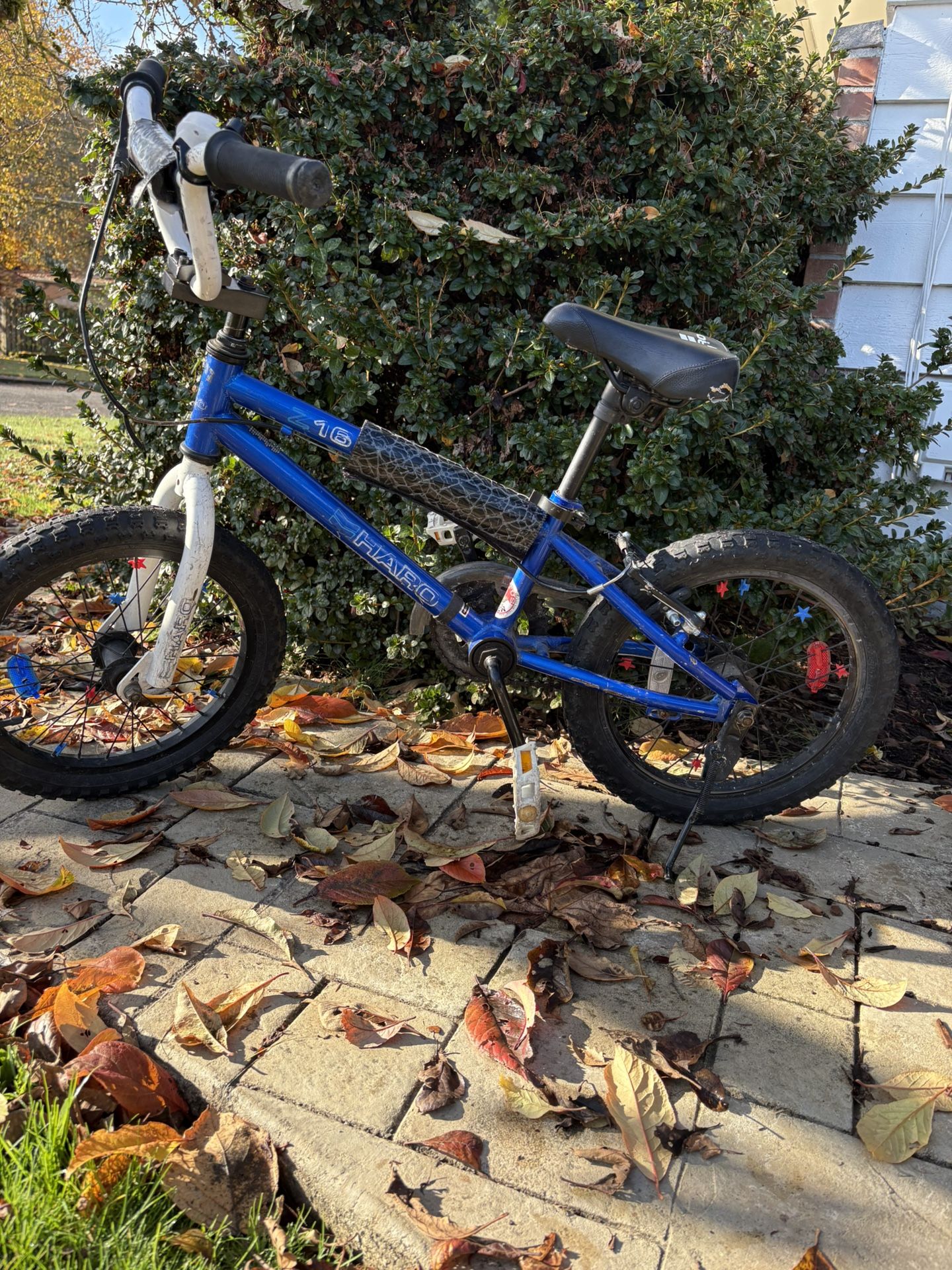 16” Kids Bike