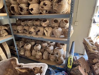 Teak Root Lanterns And Mushroom Decor.