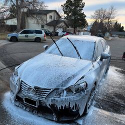 Carr Detailed with shampoo