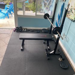 Home Gym Setup (Bench, Rack, Bar, Plated weights)