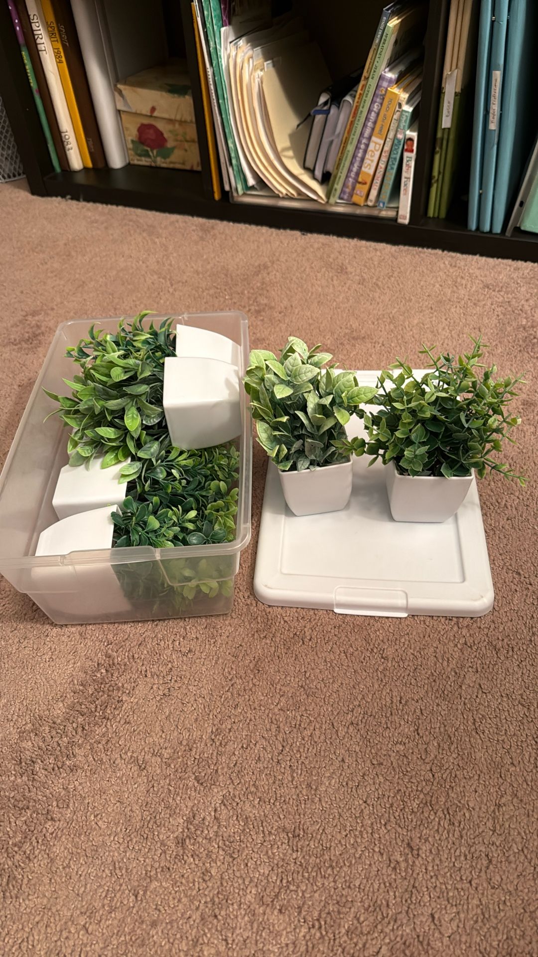 10 Decorative Artificial Plants For Shelves