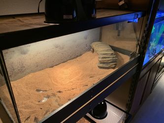 20 gallon long tank and light stand and dome