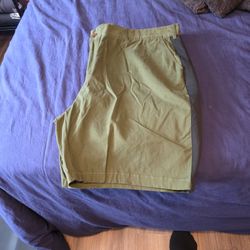 Green Chino Shorts