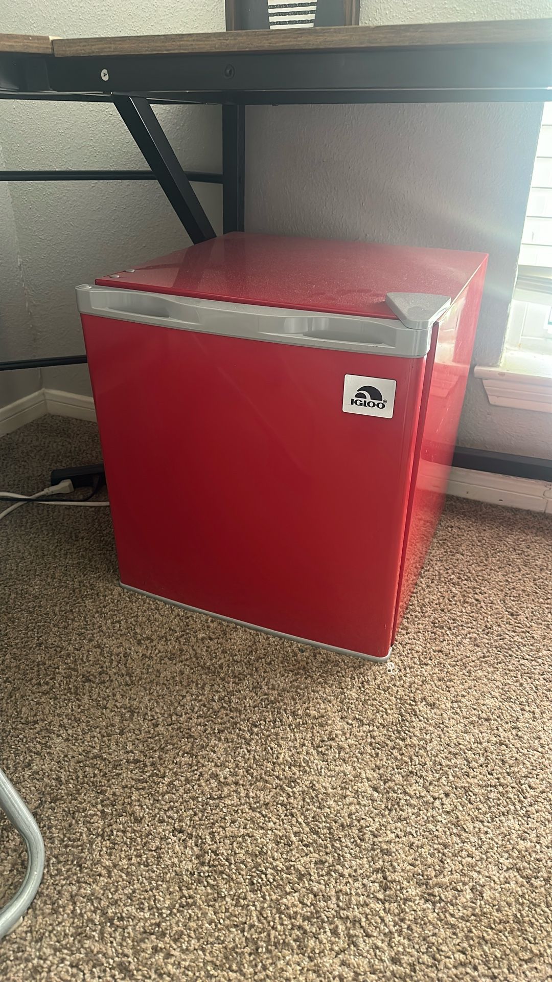 Igloo Mini Fridge