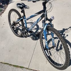 Beautiful Giant Boulder, Just Tuned Up, Small Frame