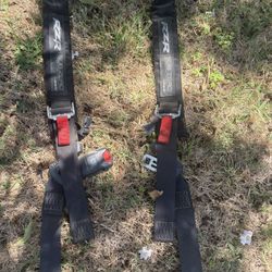 Seatbelts RZR