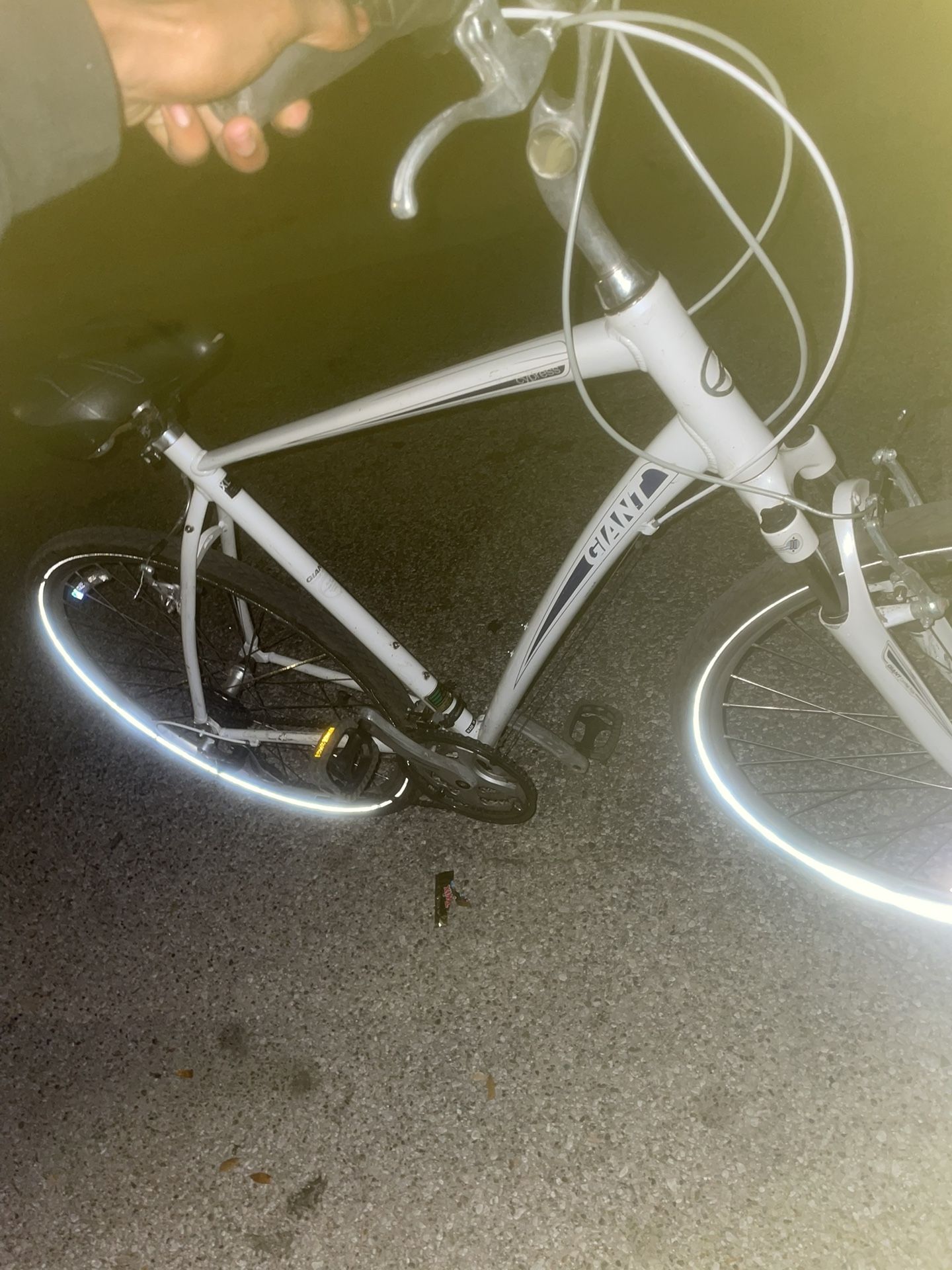 Cypress (White/ Blue) Giant