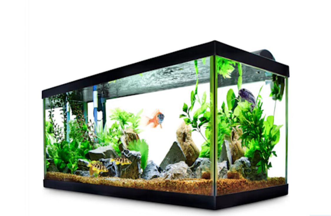 Size 40 Breeder Black Fish Tank 