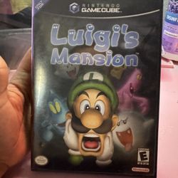 Luigi's Mansion Nintendo GameCube - Tested And Working 