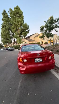 2009 Toyota Corolla