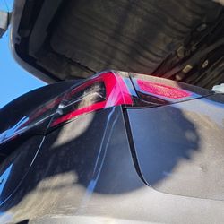 2017-2023 Tesla Model 3 Taillight Passenger Right Side 