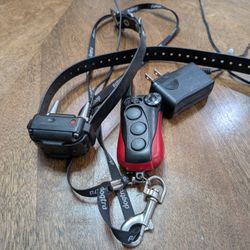 Dogtra E Collar 