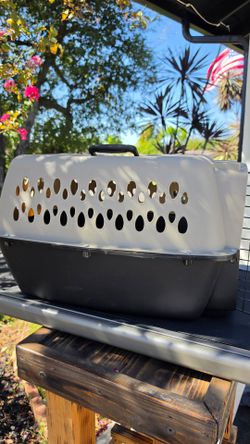 Vibrant Life Small Plastic Hard-Sided Pet Carrier, Black and Gray, 15 lb Limit