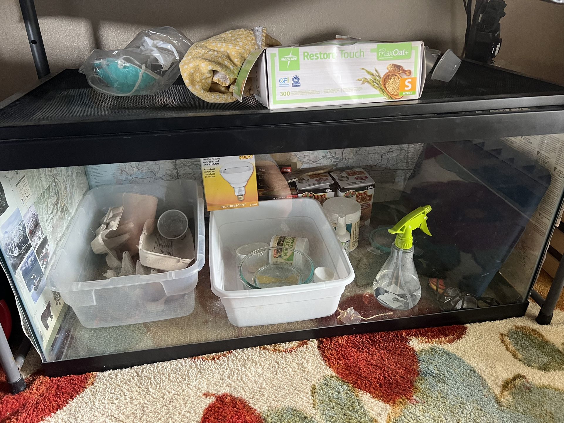 Pet Tank With Screen Top