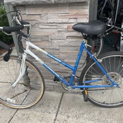 Roadmaster Scorcher 10 Speed Bike