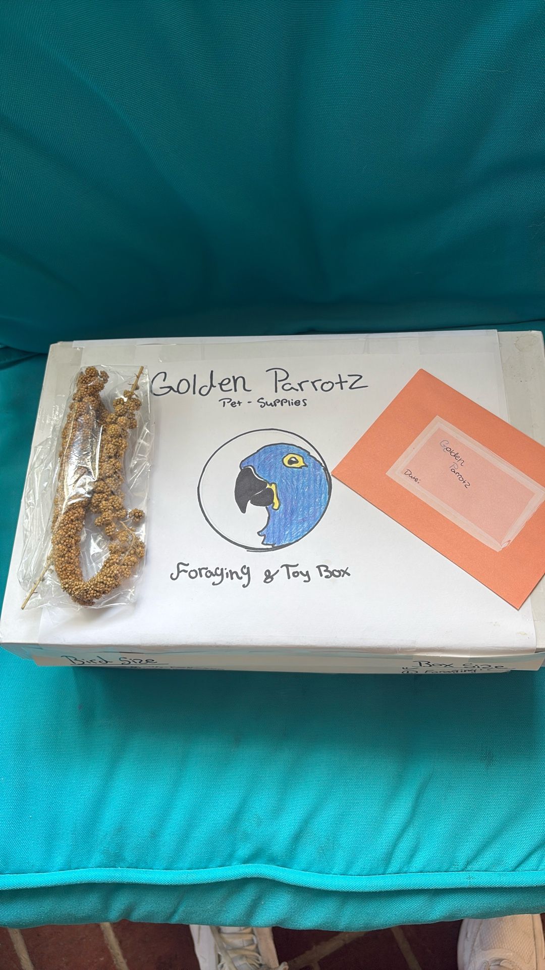 Homemade Foraging Box