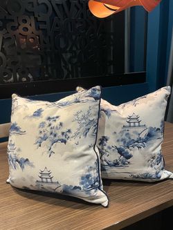 Blue and White Chinoiserie Down Throw Pillows Set of 2