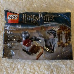 NEW LEGO Harry Potter Journey To Hogwarts Set (30407)