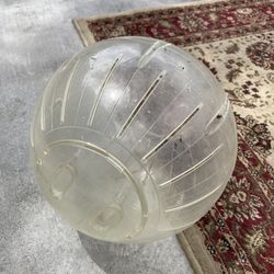 Large 10 Inch Hamster Ball/guinea pig exercise ball