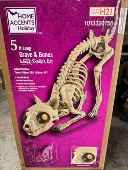 5ft. LED Skelly’s Cat. New In Box. Last One !!