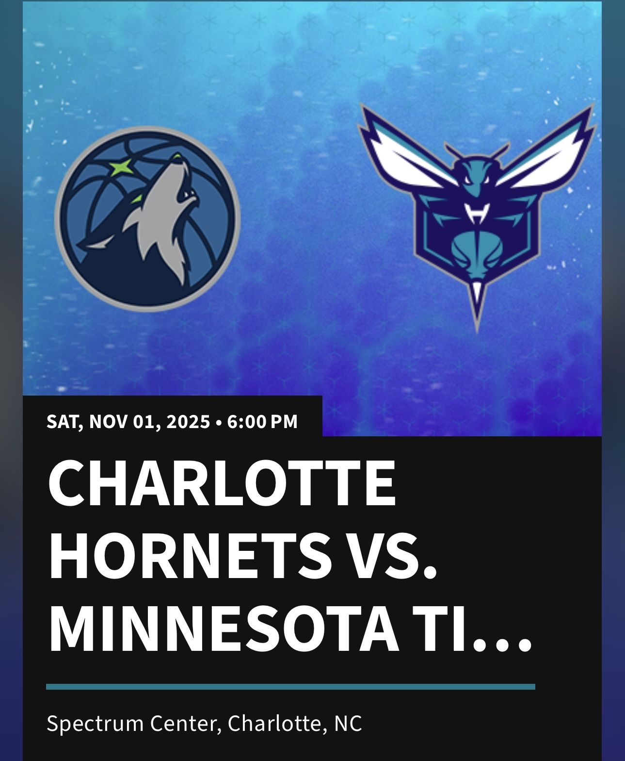 Hornets Vs Timberwolves 