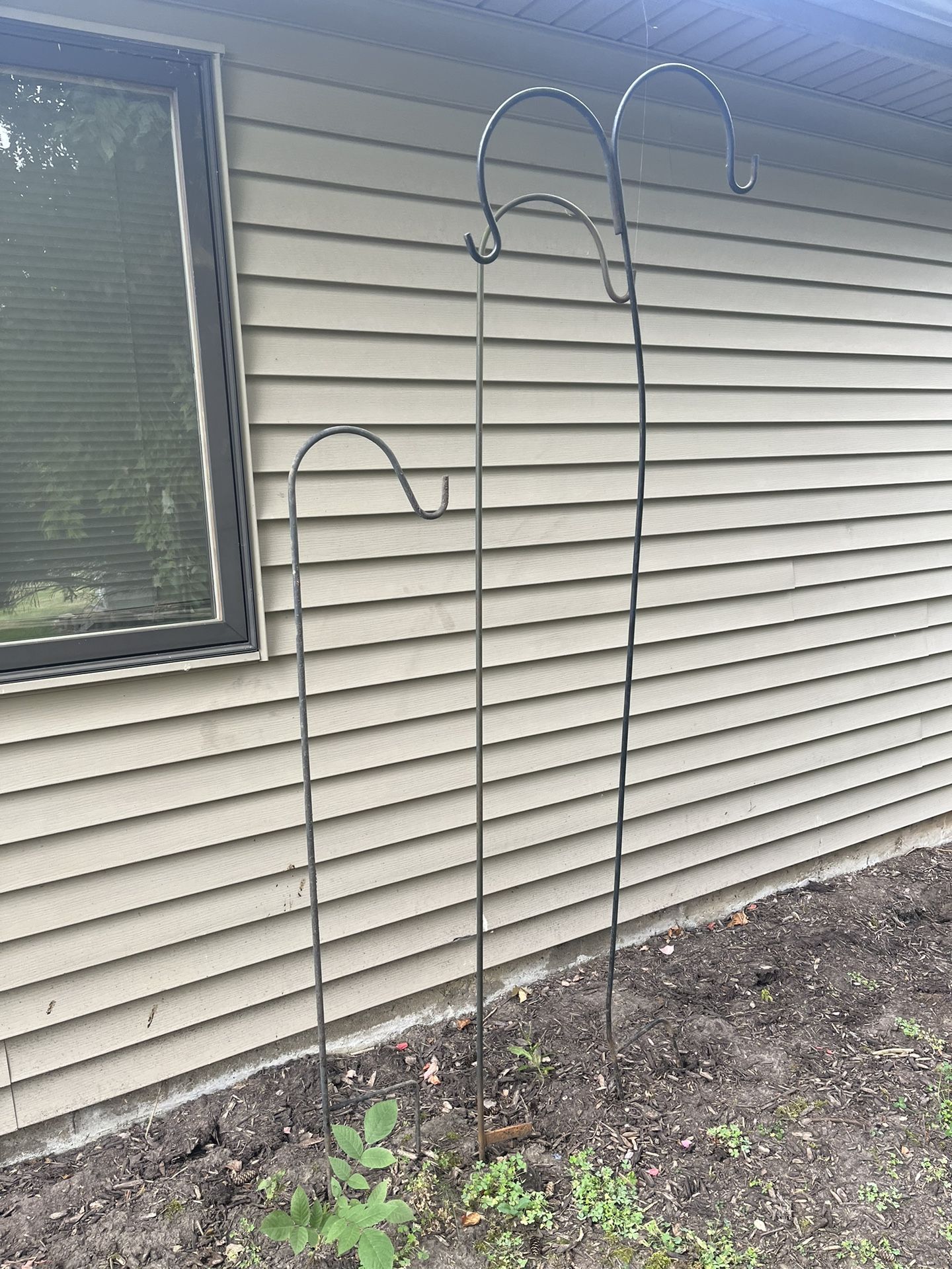 Plant Hangars