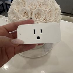 Amazon Smart Plug | Works with Alexa | Simple setup, endless possibilities