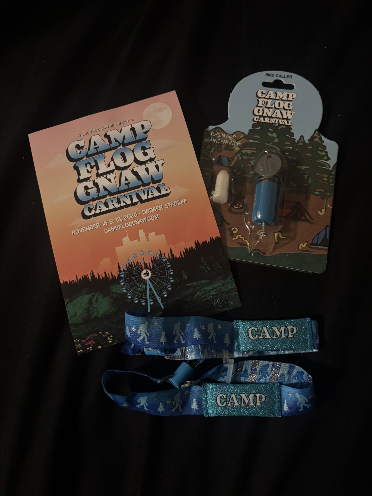 CAMP FLOG-2 GA tickets 