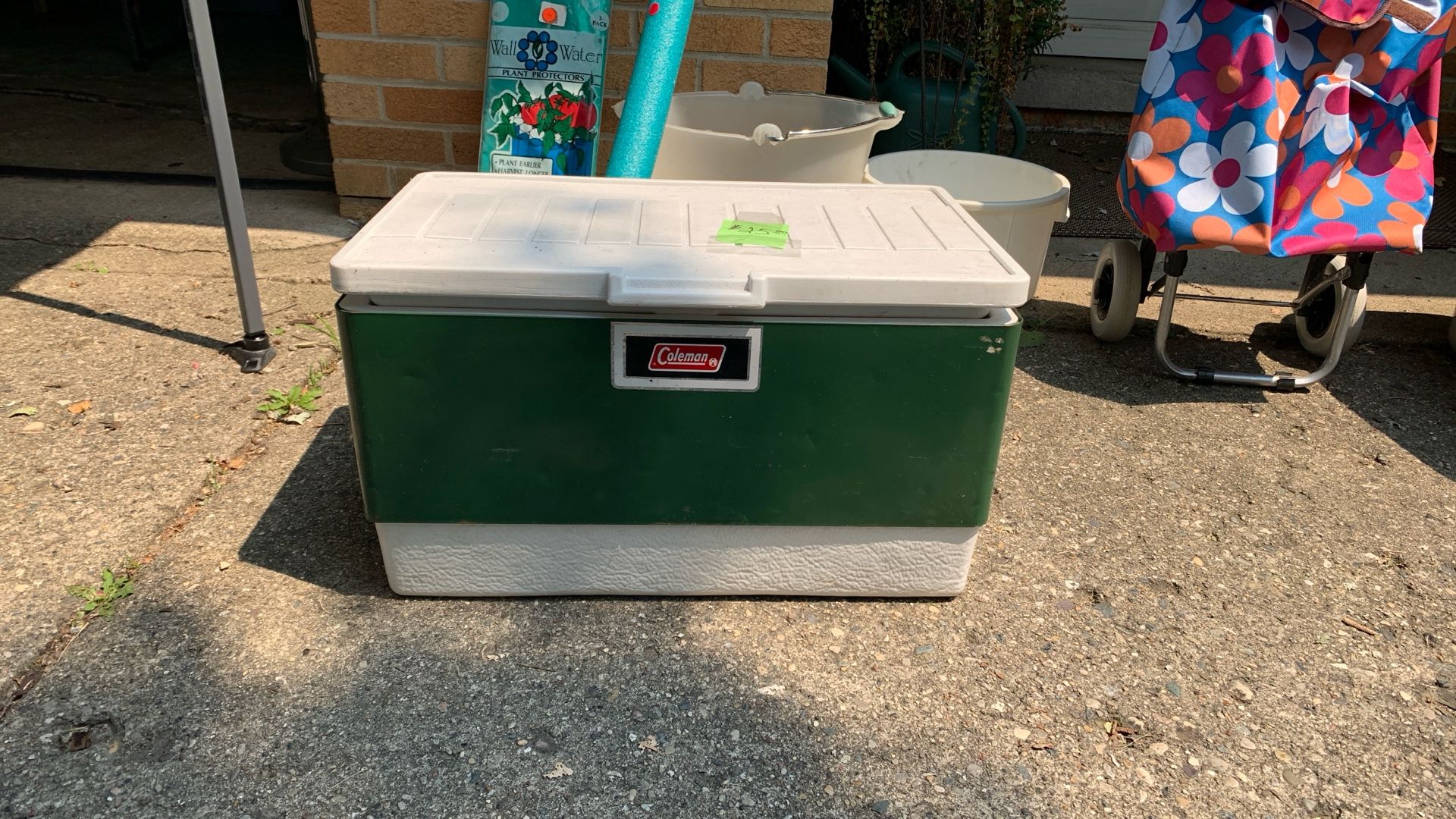 Coleman cooler
