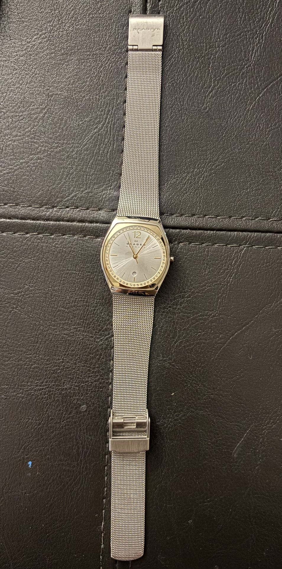 Skagen Watch