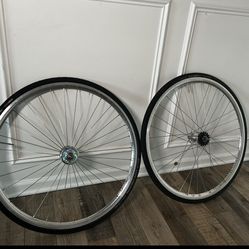 Hps Laced To Suzie Pro max 