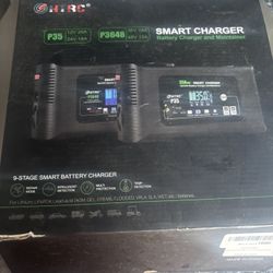 Ion Lithium Smart Charger