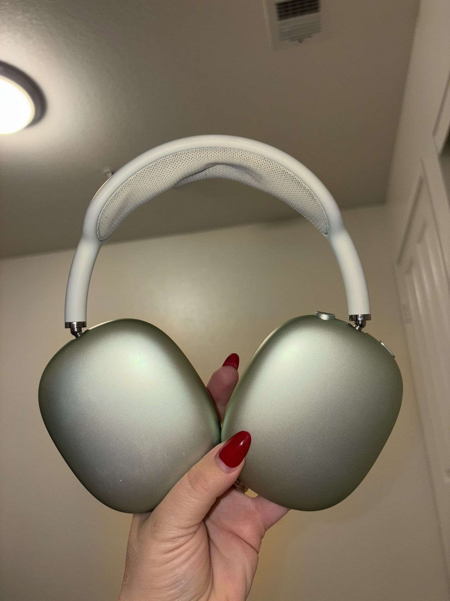 Air Pod Max Lightning Green With Protective Cases 