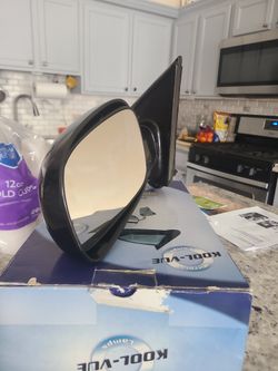 Driver Side Mirror