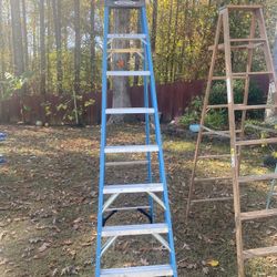 Werner Ladder