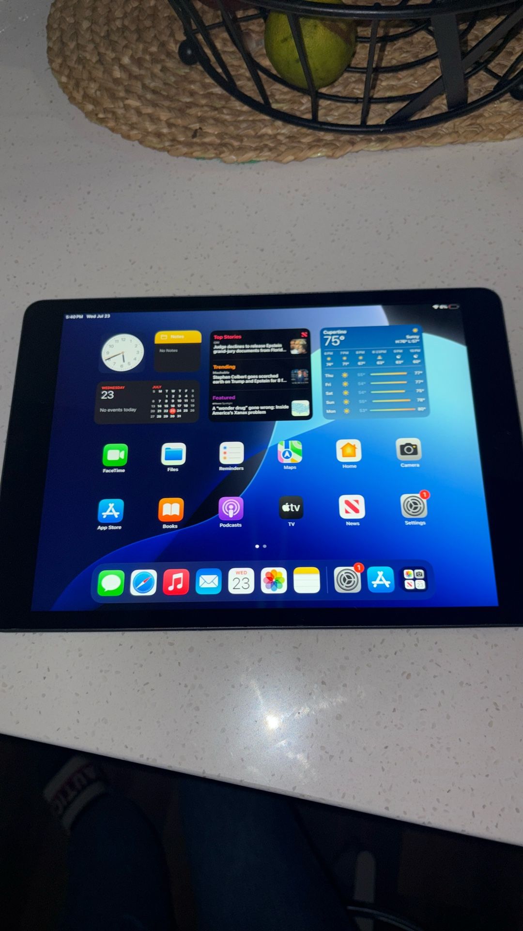iPad (9th Generation)