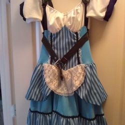 Costume Dress