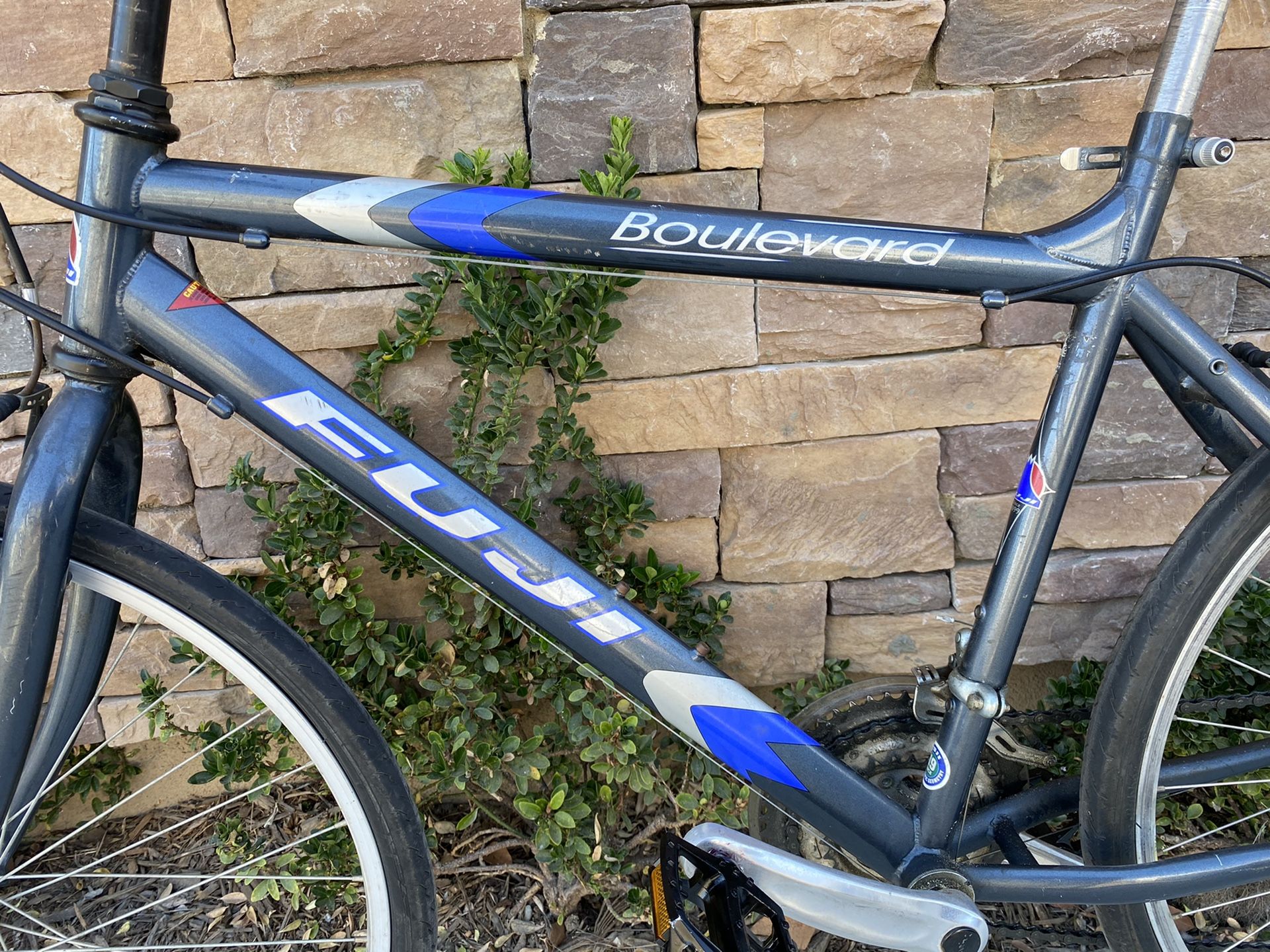 Fuji boulevard 19”