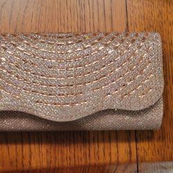 Clutch/Purse With Chain Strap 