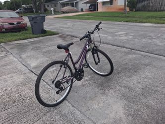 Bicycle #26