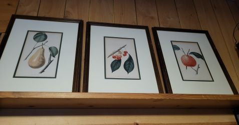 Four Antique Chromolithograph Plates William Sharp Fruits Of America Original Framed