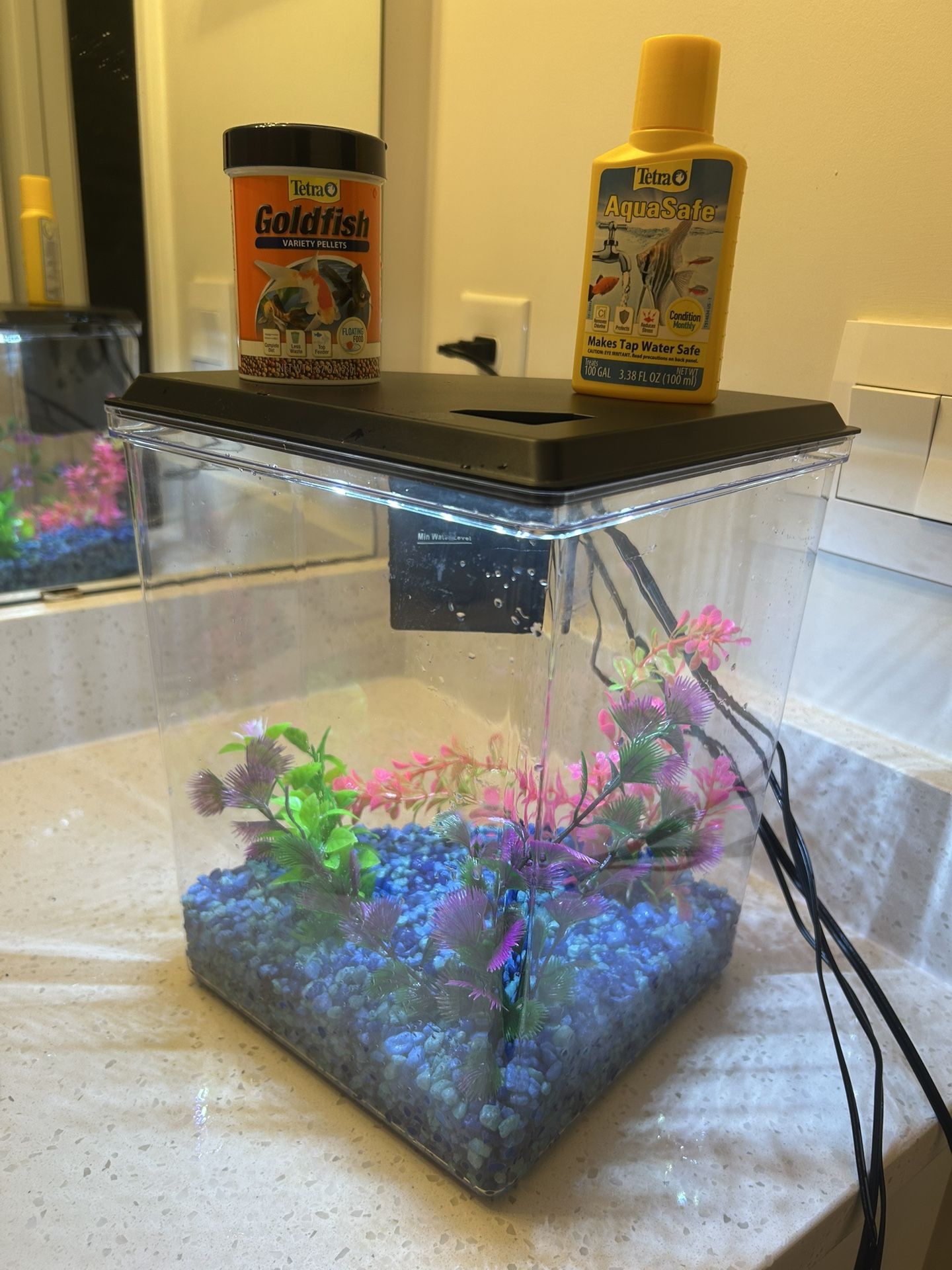 2.5 gallon fish tank